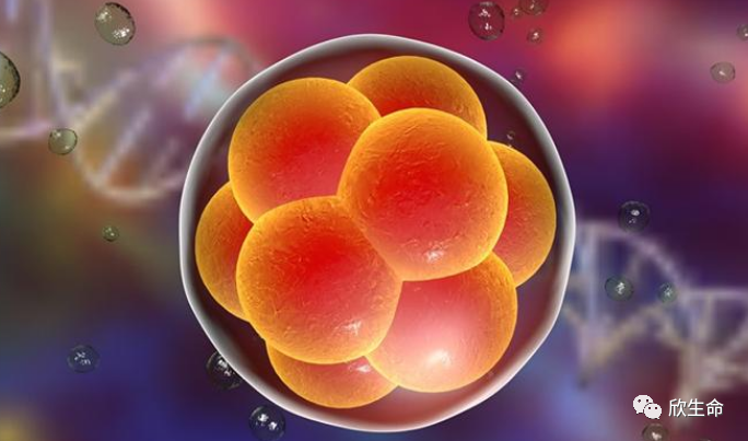 怀孕期间补多少硒最好呢（孕期补硒的作用）-硒宝网