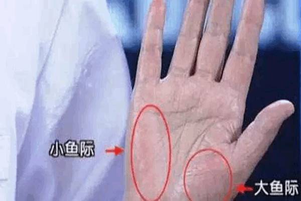 补硒会导致雄性激素过盛（雄性激素补多了会产生什么后果）-硒宝网