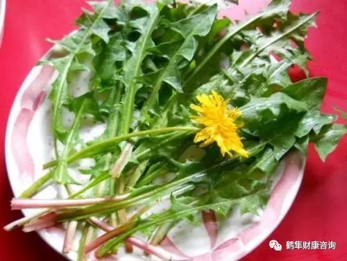 补硒会导致雄性激素过盛（雄性激素补多了会产生什么后果）-硒宝网