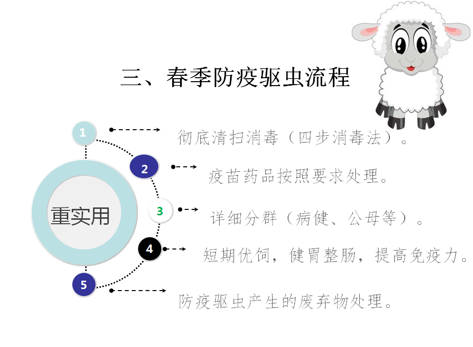 羔羊七天补硒多少克好呀（七天补克硒羔羊吃多少）-硒宝网