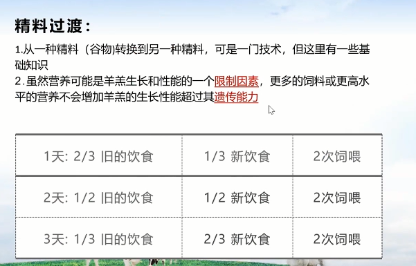 羔羊七天补硒多少克好呀（七天补克硒羔羊吃多少）-硒宝网