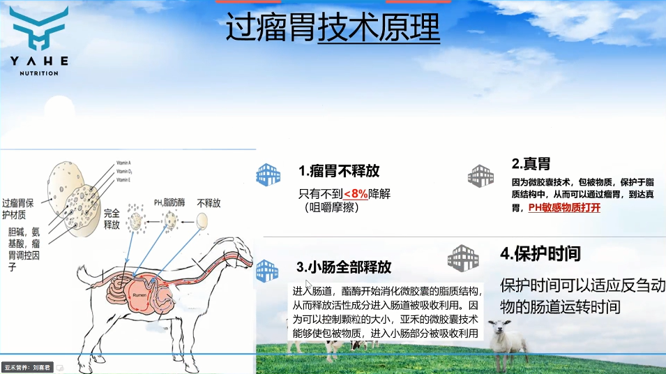 羔羊七天补硒多少克好呀（七天补克硒羔羊吃多少）-硒宝网