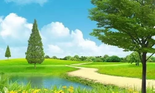 哪些运动补硒效果好一点（运动的时候补充什么比较好）-硒宝网