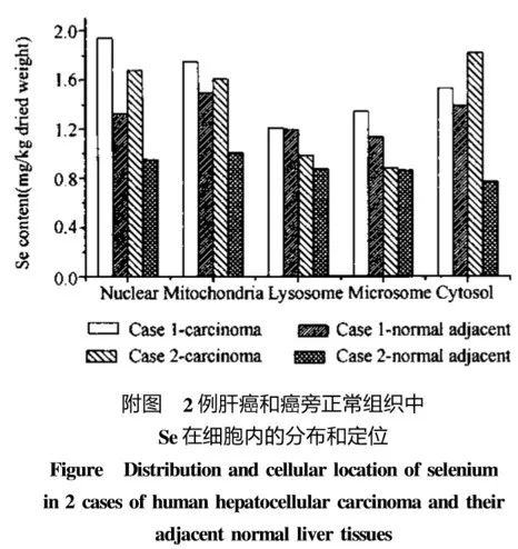 增强免疫力为啥要补硒呢(免疫力补增强硒要多长时间)-硒宝网