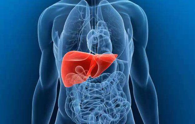 葡萄怎样补硒元素高一些（葡萄含硒）-硒宝网