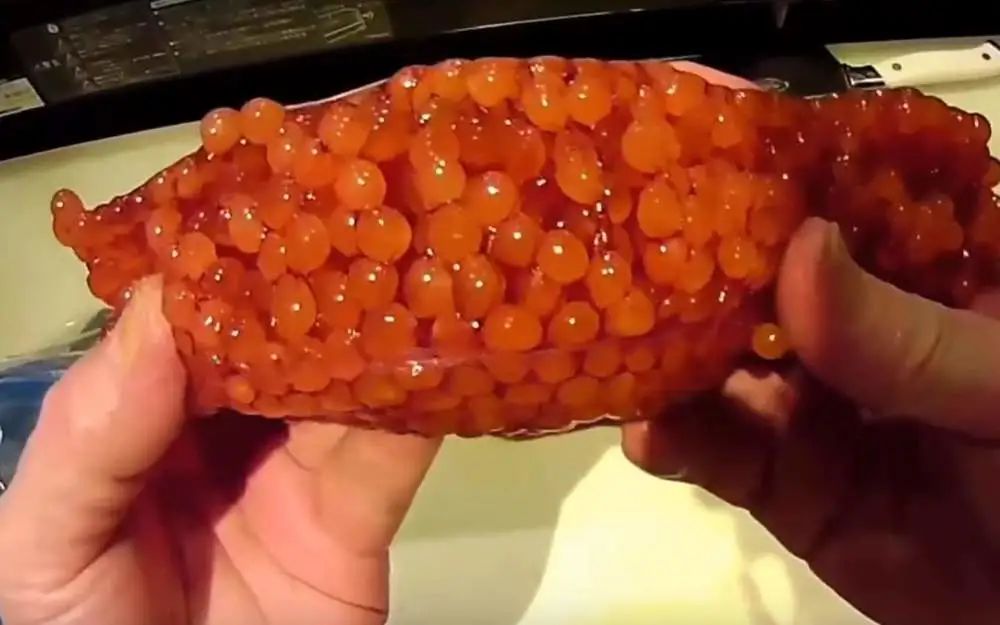 直接食用猪肾能不能补硒（猪补硒的好处）-硒宝网