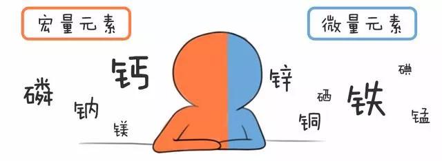 血液中铬硒钼钴少如何补(铬的作用和补硒的好处和坏处)-硒宝网