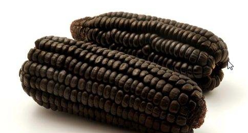 吃啥补硒食物好吸收钙呢(补钙补硒食物有哪些)-硒宝网