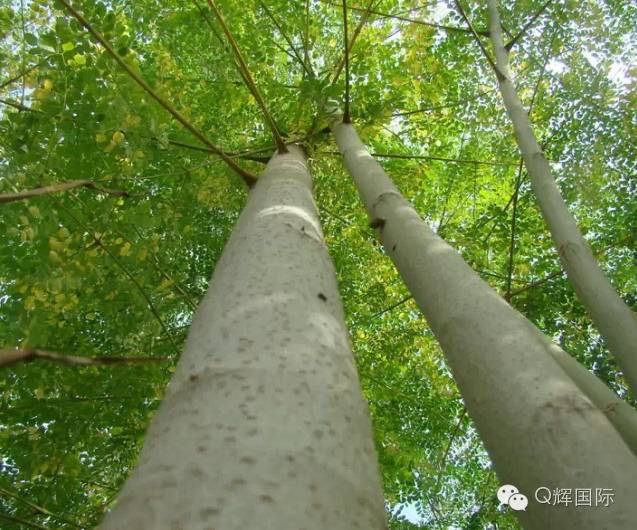 长期吃降压药缺硒怎么补(长期吃普利类降压药缺硒)-硒宝网