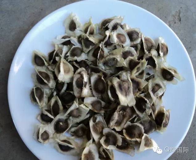 长期吃降压药缺硒怎么补(长期吃普利类降压药缺硒)-硒宝网