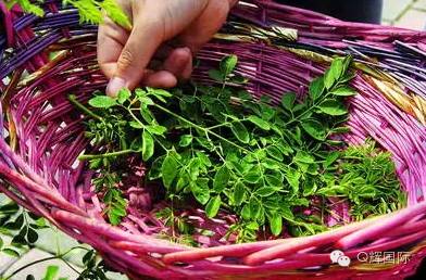 长期吃降压药缺硒怎么补(长期吃普利类降压药缺硒)-硒宝网