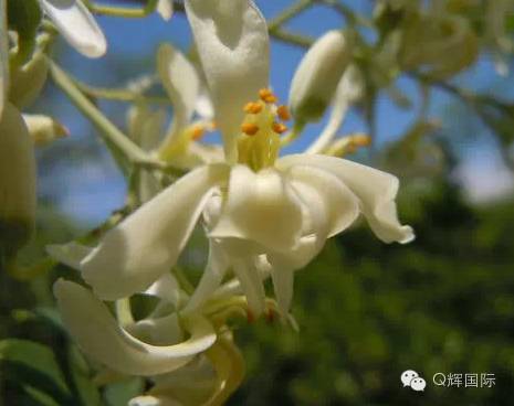 长期吃降压药缺硒怎么补(长期吃普利类降压药缺硒)-硒宝网