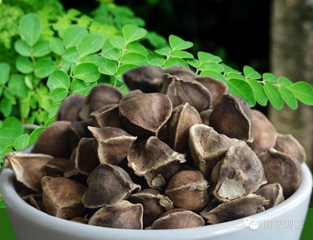 长期吃降压药缺硒怎么补(长期吃普利类降压药缺硒)-硒宝网