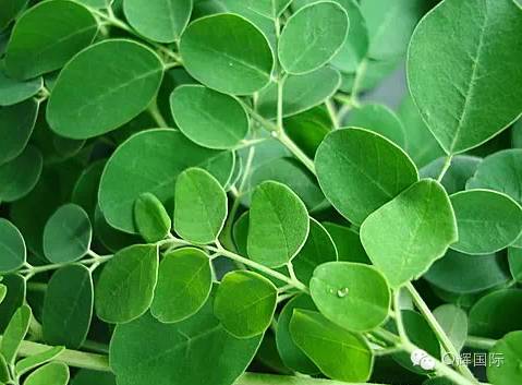 长期吃降压药缺硒怎么补（补硒能降血压吗）-硒宝网