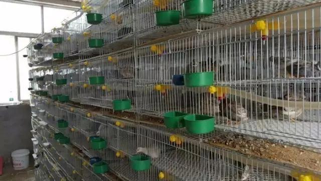 补硒五大优势产品有哪些(硒的补品有哪些)-硒宝网