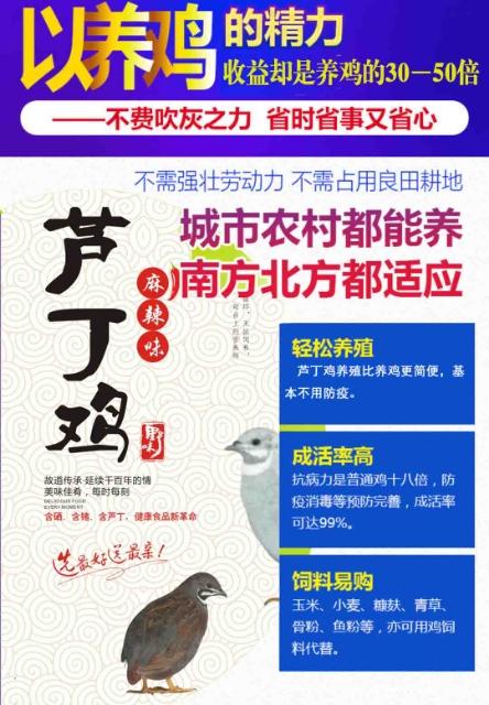 补硒五大优势产品有哪些(硒的补品有哪些)-硒宝网