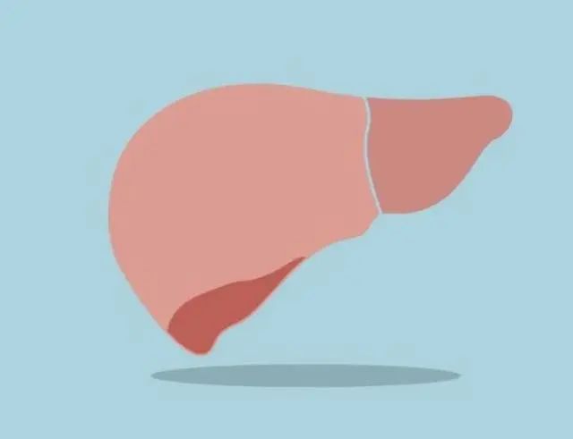 补硒对肝好水果有帮助吗(硒对肝的作用和补硒的好处)-硒宝网