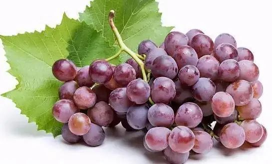 补硒对肝好水果有帮助吗(硒对肝的作用和补硒的好处)-硒宝网