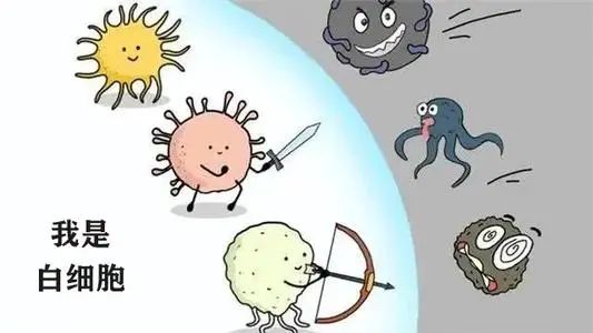 放化疗吃的药叫什么补硒（化疗时补硒可以减轻副作用吗）-硒宝网