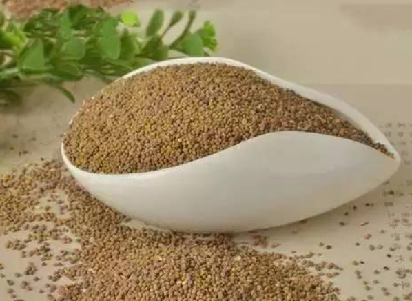 补硒对肾功能衰竭有用吗(肾衰竭吃硒可以吗)-硒宝网