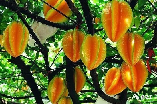 锌和硒吃多少算是补多了(补充锌和硒)-硒宝网