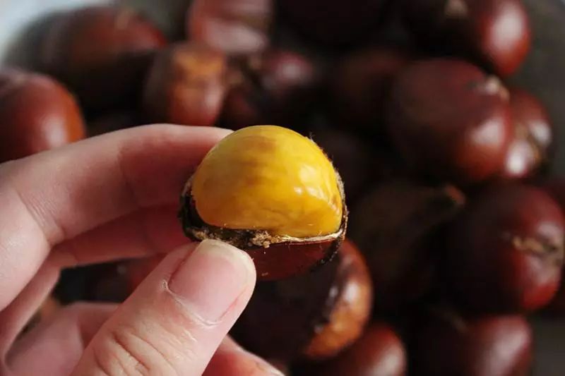 锌和硒吃多少算是补多了(补充锌和硒)-硒宝网