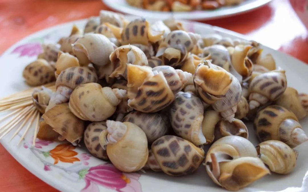 锌和硒吃多少算是补多了(补充锌和硒)-硒宝网