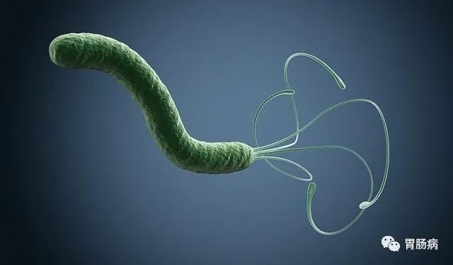 萎缩性胃炎怎样补硒的呢(萎缩性胃炎硒酵母)-硒宝网