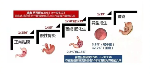萎缩性胃炎怎样补硒的呢(萎缩性胃炎要吃多少硒)-硒宝网