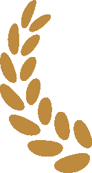 萎缩性胃炎怎样补硒的呢(萎缩性胃炎要吃多少硒)-硒宝网