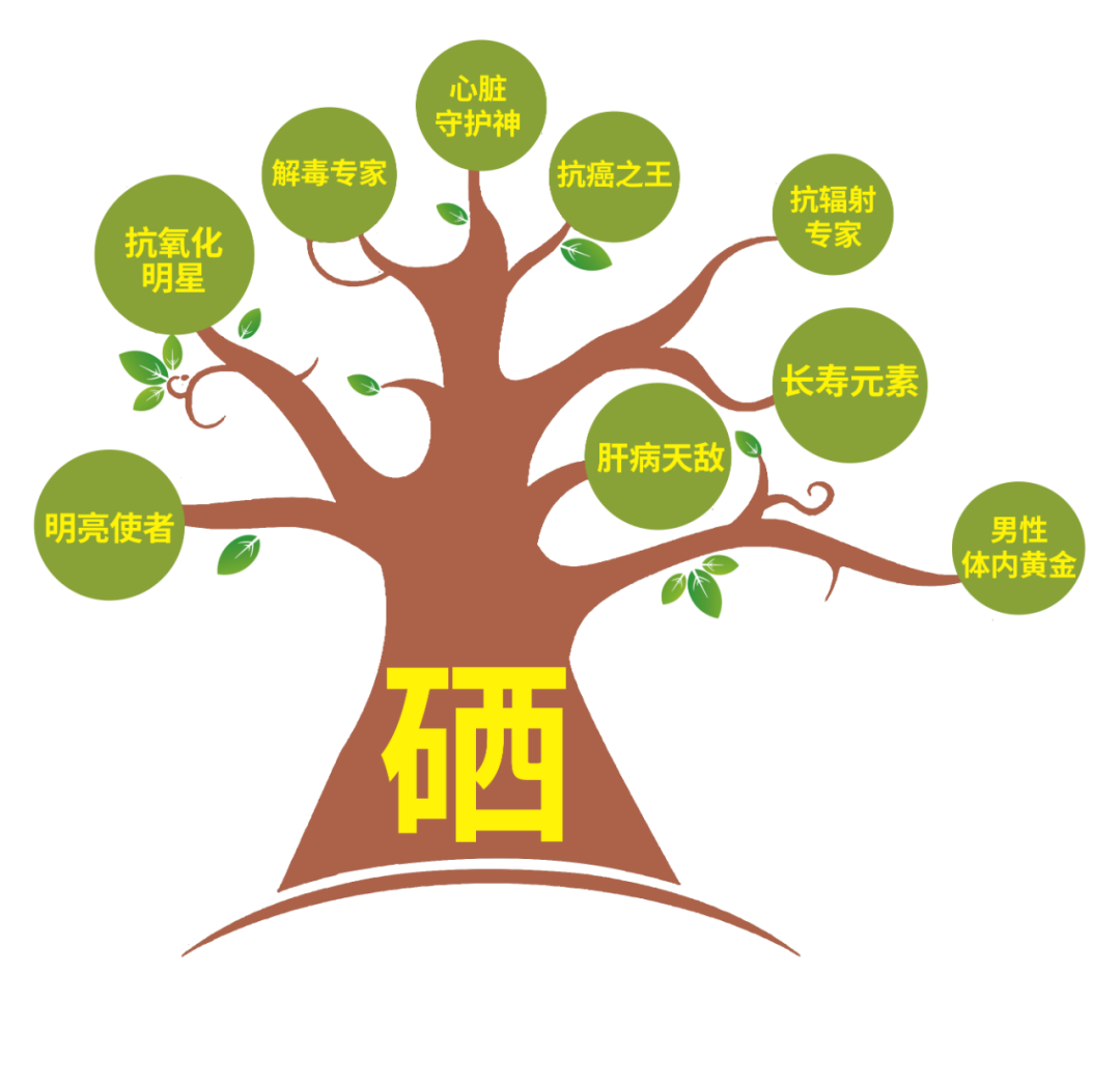 补硒有哪些食品添加剂的（硒食品添加）-硒宝网