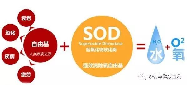 吃补硒三素到处疼为什么（吃补硒三素到处疼为什么）-硒宝网