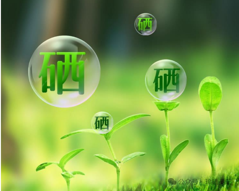 正确补硒的保健品有哪些（补硒保健品是传销吗）-硒宝网