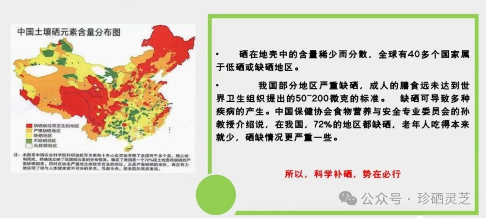 正确补硒的保健品有哪些（补硒保健品是传销吗）-硒宝网