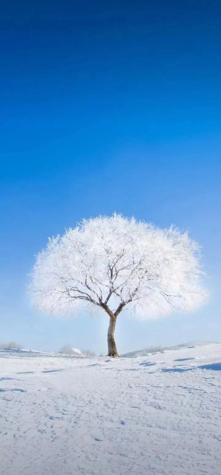 癌症补硒一天多少克合适(癌症吃硒多少量)-硒宝网