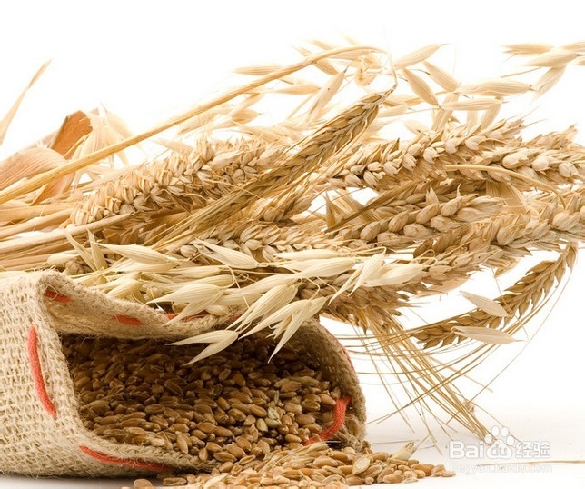 补硒的水果和菜有哪些呢（水果补菜硒有什么好处）-硒宝网