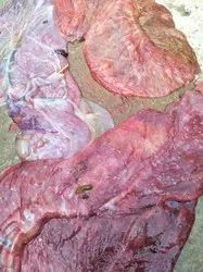 小猪出生几天补硒好一点（小猪七天补硒怎么补）-硒宝网