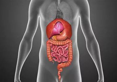 食管癌患者补硒有好处吗(硒与食管癌的作用)-硒宝网