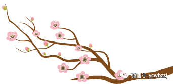 补硒吃保健品还是药品好(吃补硒的保健品有用吗)-硒宝网