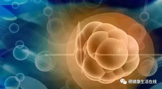 糖尿病每天补硒量为多少(糖尿病补硒多少)-硒宝网