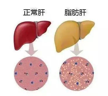 补硒可以吃蛋白粉吗女性（蛋白硒可以长期吃吗）-硒宝网