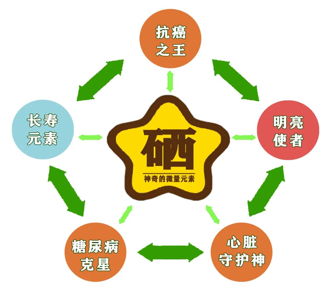 国内补硒好的保健品推荐（补硒保健品哪个牌子好）-硒宝网