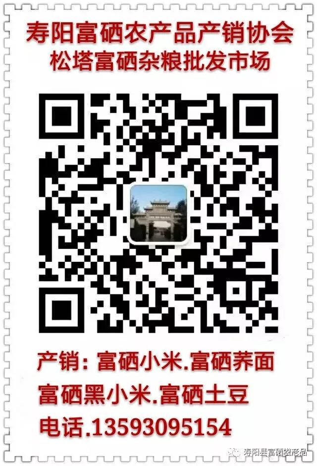 子了萎缩能不能补硒元素（硒元素吃什么补）-硒宝网