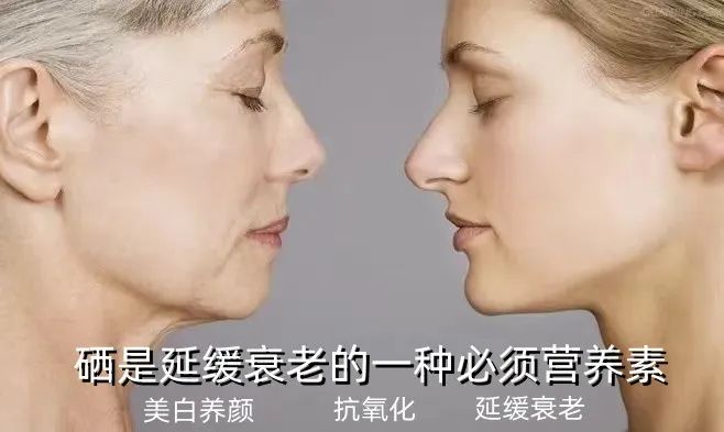 硒片补硒推荐哪种好一点（最好的补硒产品硒价格）-硒宝网