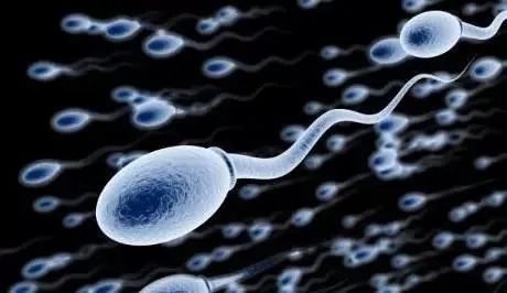 硒片补硒推荐哪种好一点（最好的补硒产品硒价格）-硒宝网