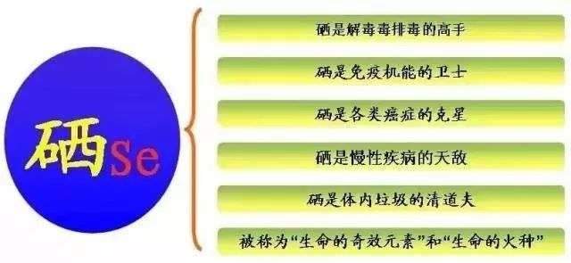 子了萎缩能不能补硒元素（硒元素可以提高免疫力吗）-硒宝网