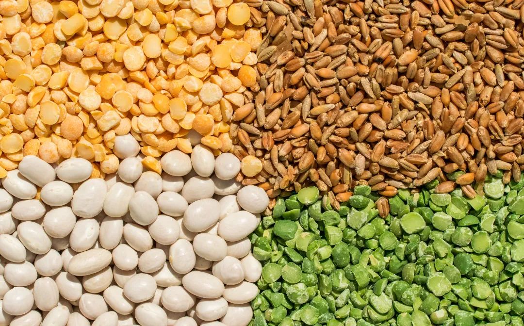 补硒是不是排毒的食物呢(补硒排毒反应)-硒宝网