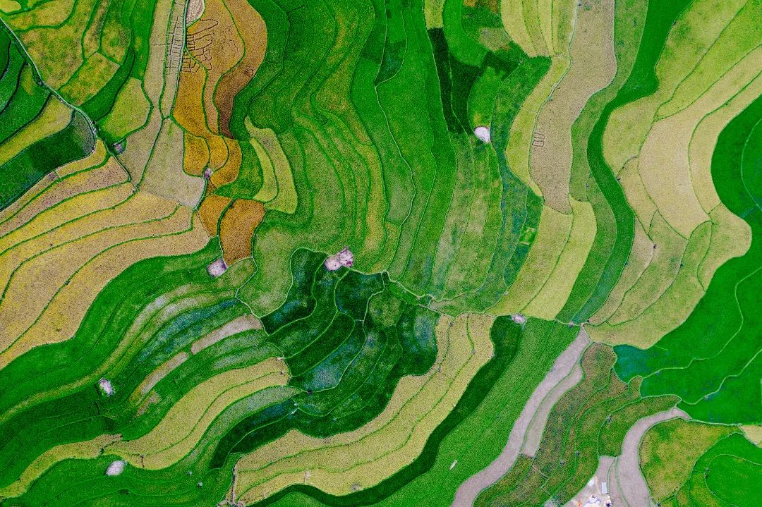 补硒是不是排毒的食物呢(补硒排毒反应)-硒宝网