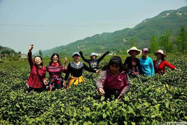 癌细胞扩散到肝能补硒吗（肝癌细胞扩散了还有救吗）-硒宝网