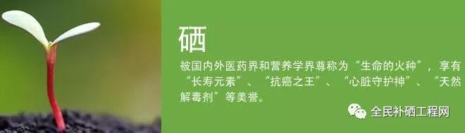 补硒对人体疾病有什么用(人体疾病补硒用有副作用吗)-硒宝网